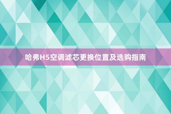 哈弗H5空调滤芯更换位置及选购指南